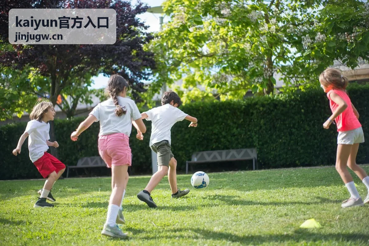 kaiyun官方入口 功能模块说明页面配图